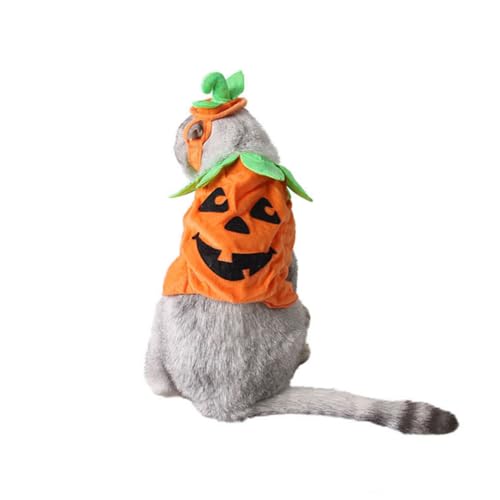 ORFOFE Haustier-Halloween-kostüm Für Katzen Und Hunde Kürbis-Outfit Orange Bequemes Polyester Für Halloween-Partys von ORFOFE