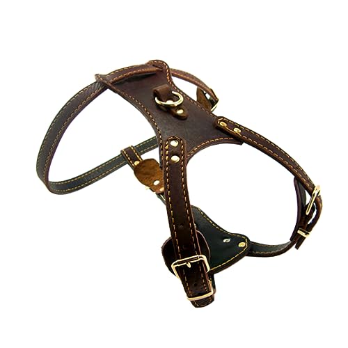 ORFOFE verscho außen Chest Strap brustgurt halsketten svarowksy Halskette Hunde giteer Safe exstel Halsband Hunde brusttapes modisches Hundehalsband Haustierzubehör Gläser Seil von ORFOFE