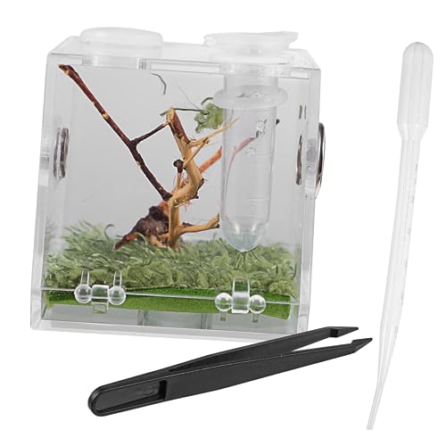 ORFOFE Reptilzuchtbox Mit Troppfer- Und Zange Pet Terrarium Transparentem Fall von ORFOFE