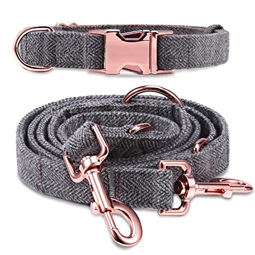 ORIA 2 in 1 Haustierleine & Halsband, Hundehalsband Set, Hundeleine (1,95m) Halsband Set (33-40cm), Einstellbare Länge, Weiches Bequemes Gewebe, Langlebig, für Welpen Kleine Mittlere Große Hunde - XS von ORIA