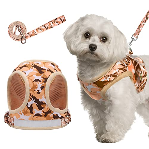 Set für kleine Hunde und Leine, reflektierendes Polyester-Netz, verstellbar, zum Hineinsteigen, kein Ziehen, Haustiergeschirr (S, Orange) von ORLYOBABE
