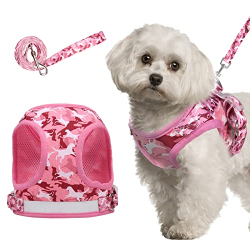 Step in Hundegeschirr und Leine, Set, Polyester-Netz, reflektierend, Hundeweste, Geschirr, verstellbar, kein Ziehen, Haustiergeschirr für kleine Hunde und Welpen, Größe S, Rosa von ORLYOBABE