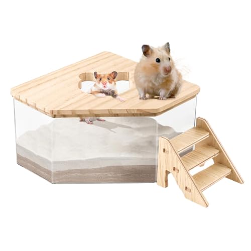 ORTUH Hamster Sandbad Box 2024 Hamster-Badesand Sandbad Behälter Sandbad Hamster-Badebox Mit Treppe, Hamster Sandbad Badezimmer Katzentoilette Chinchilla-Staubbad Hamster-Zubehör 16 x 16 x 10 cm von ORTUH