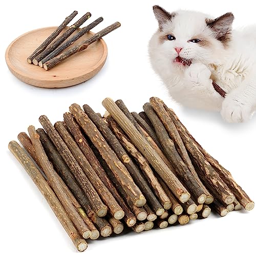 OSDUE 32 Stück Katzenminze Sticks, Matatabi-Kausticks, Katzenminze Spielzeug Katzen Kauhölzer Sticks für Katzen Zahnpflege & Gegen Mundgeruch Natürlich Sicher Katzensticks Kausticks Set von OSDUE