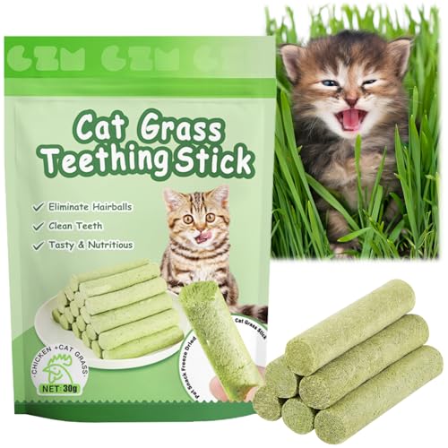 OSDUE 6 Stück Katzengras Snack, Cat Grass Teething Stick, Katzengras Sticks Gefriergetrocknet Snacks für Katzen, Katzenminze, Beißstab aus katzengras, für die Zahnpflege und Haarknäuel Entfernen von OSDUE