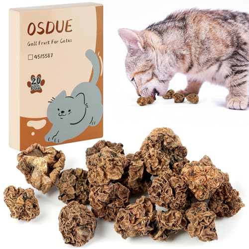 OSDUE Matatabi Früchte, 20 PCS Katzen Früchte Spielzeug Natürliches Katzenspielzeug Kausnacks Zur Zahnreinigung Hartes Kauspielzeug Aufmuntern von OSDUE