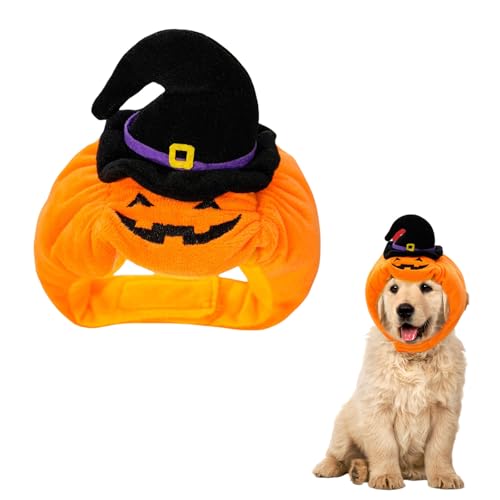 Halloween-Kürbis-Katzenhut, niedlicher Haustier-Kürbishut, Hexenhut, Hund, Halloween-Kostüm, Kopfschmuck für Katzen, kleine Hunde, Cosplay-Kostüm, Party von OTKARXUS