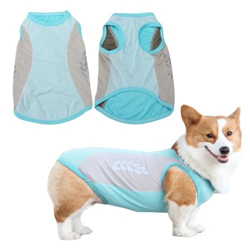 Kühlweste für Hunde, atmungsaktives Netzgewebe, mit reflektierenden Streifen, elastisches, sonnenfestes Eis-T-Shirt für kleine, mittelgroße und große Hunde, Outdoor-Aktivitäten (Blau, 10XL) von OTKARXUS
