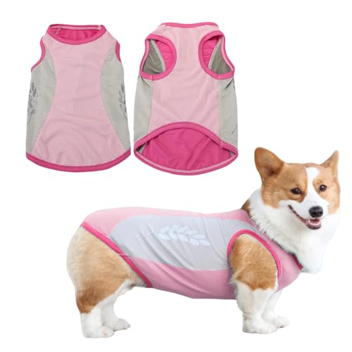Kühlweste für Hunde, atmungsaktives Netzgewebe, mit reflektierenden Streifen, elastisches, sonnenfestes Eis-T-Shirt für kleine, mittelgroße und große Hunde, Outdoor-Aktivitäten (Rosa, 8XL) von OTKARXUS