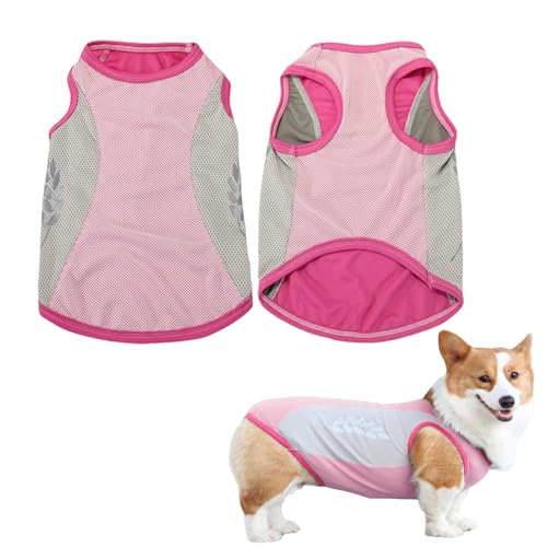 Hunde Kühlweste,1 Stück Atmungsaktives Mesh Hundejacke mit Reflektierenden Streifen,Elastisches Sonnenfestes Hunde Eiskühlende T-Shirt für kleine mittel große Hunde Outdoor-Aktivitäten von OTKARXUS