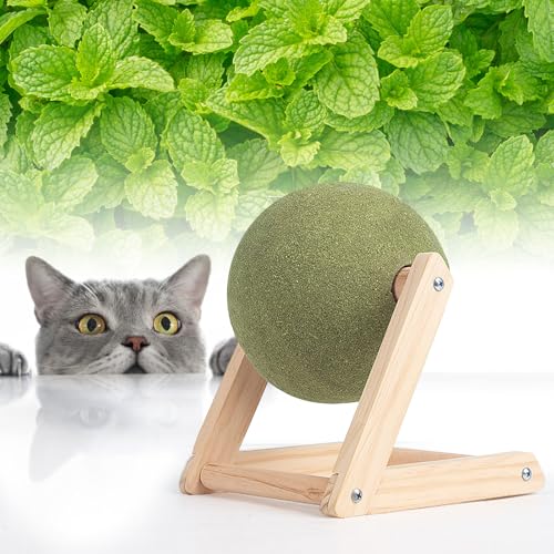 Kratzball für Katzen,Katzenminze Ball Katze Interaktives Katzenspielzeug,Spielzeug mit Katzenminze mit Ständer,Essbares Kätzchen-Leck- und Kauspielzeug,Drehbarer Catnip Ball Bodenständer (Large) von OUGPIU