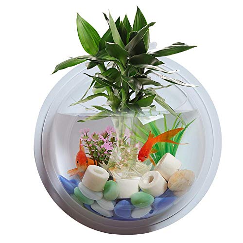 Aquarium Aquarium Acryl Wand Hängen Aquarium Aquarium Vase Pflanze Dekoration Blumentopf Transparente Kuppel-Fischtank von OUMIFA