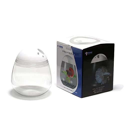 OUMIFA Aquarium Kreativer Desktop ökologische Landschaftsgestaltung Aquarium Small Goldfish Panzer Mini Betta Fischtank Tischdekoration Aquarium Zubehör von OUMIFA