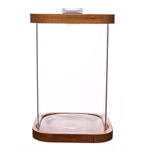 OUMIFA Aquarium 1 stück Mini Ask Tank Platz transparent Bambus Base Mini Ask Tank Kleiner Ask Tank von OUMIFA