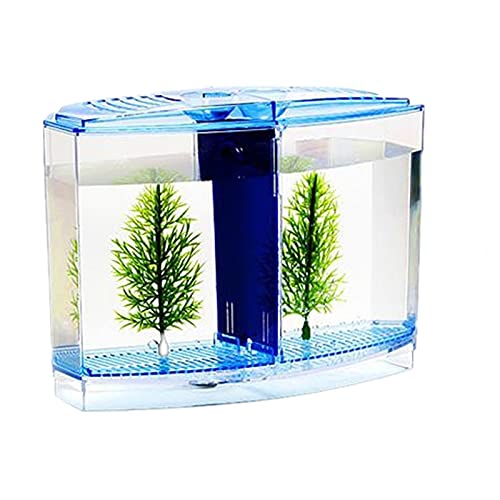 OUMIFA Aquarium Acryl-Fischtank-Desktop Kleiner Fischtank, geeignet for Familienwohnzimmer, Schlafzimmer, Büro (1.8l) von OUMIFA