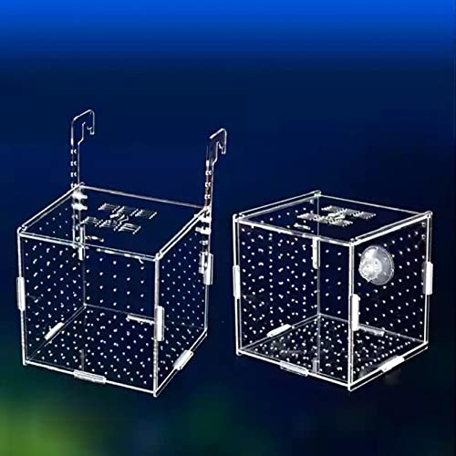 OUMIFA Aquarium Aquarium Isolation Box Aquary Tank Small Fry Zuchtbox Transparent Acryl Single Grid Doppelgitter Aquarium Liefert(Hook 20x20x15cm) von OUMIFA