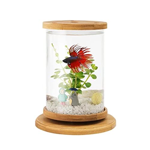 OUMIFA Aquarium Aquarium ökologische dekorative Fischtank Kämpfe Fischbehälter Kreative Micro-Ansicht Rotierender Mini-Fischtank Aquarium Zubehör von OUMIFA