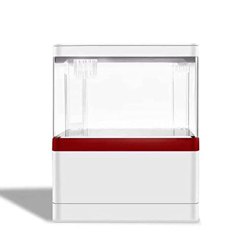 OUMIFA Aquarium Desktop-Mini-Aquarium-Unterhaltung, Multifunktions-Umwälzfilter, kein Wasserwechsel, Eimer-Fischtank, Aquarium-Zugang(Red,US Plug Adapter) von OUMIFA