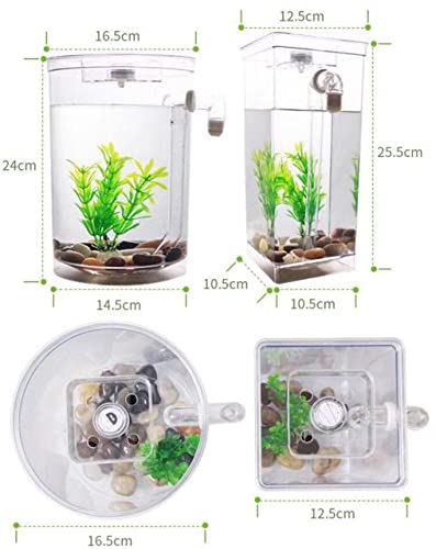 OUMIFA Aquarium Faules Freies Wasserwechsel Desktop-Fischtank Mini Kreativer Gold-Fisch-Tank Kleiner Kunststoff Betta Fischbox Aquarium Zubehör(Round Shape) von OUMIFA