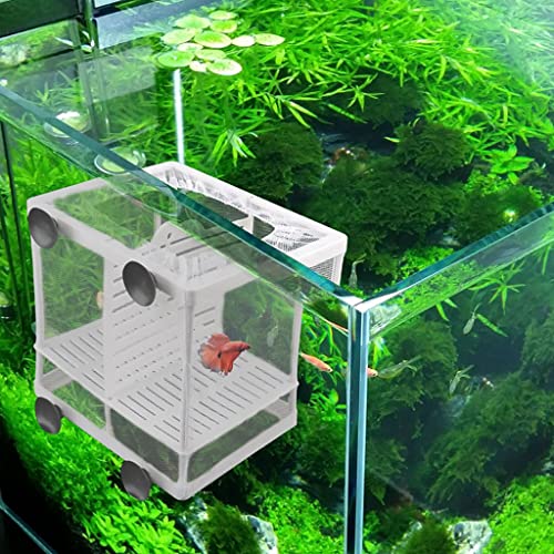 OUMIFA Aquarium Fischzucht Züchterbox Aquarium Fisch Brüterei Isolation Net Fischtank Inkubator Box Hanging Aquarium Zubehör Lieferungen(16.5X14.5X15cm) von OUMIFA