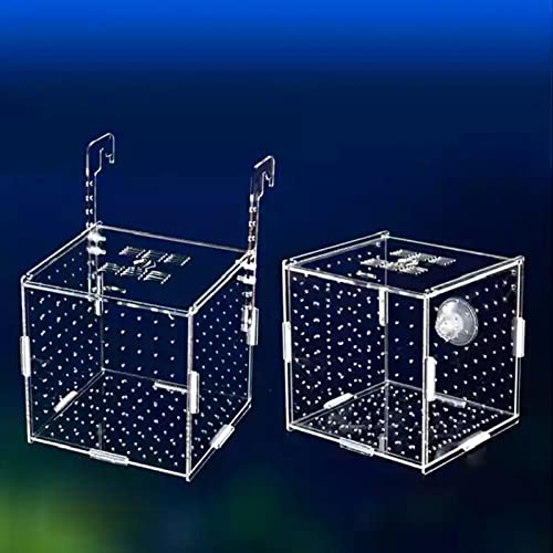 OUMIFA Aquarium-Isolationsbox für Aquarien, kleine Frittier-Zuchtbox, transparentes Acryl, Einzelgitter, Doppelgitter, Aquarium-Zubehör (Farbe: Haken, 25 x 15 x 15 cm) von OUMIFA