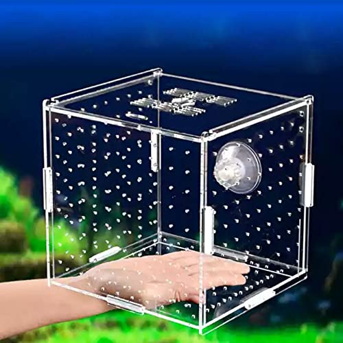 OUMIFA Aquarium-Isolationsbox für Aquarien, kleine Frittier-Zuchtbox, transparentes Acryl, Einzelgitter, Doppelgitter, Aquarium-Zubehör (Farbe: Saugnapf, 10 x 10 x 10 cm) von OUMIFA