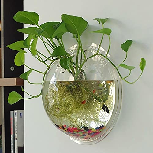 OUMIFA Aquarium Kreative Wand montiert Klarer Acryl Rundfische Tank Blumentopf Vase Home Decor Fish Bowl Wall Hanging Aquarium Tank von OUMIFA