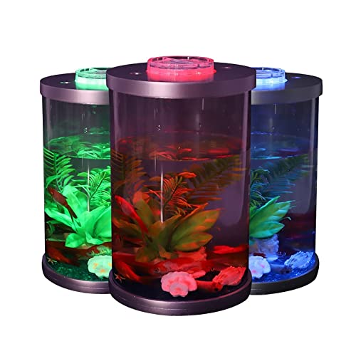 OUMIFA Aquarium Mini-Aquarium-Fischtank mit Licht Nein Notwendigkeit, Kleiner Turtle-Tank-Büro-Tisch-Desktop-Aquaty-Kampf-Fischtank zu stecken(L) von OUMIFA