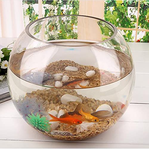 OUMIFA Aquarium Runde transparente Kristallglasschüssel Klare Kugel Vase Aque Tank Wasserglas von OUMIFA