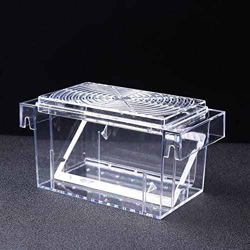 OUMIFA Aquarium Transparente Zuchtbox Acrylisolationskasten-Schlupfhülle Praktische Inkubatorbox for Aquarium-Fischtank von OUMIFA