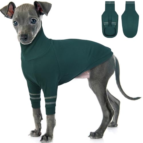 OUOBOB Greyhound Hundepullover, Italienischer Windhund Mantel für kleine Hunde, Whippet Pullover Turtleneck Stretchy Knit Sweatshirt, Greyhound Pyjamas Windhunde Jumpsuit für kaltes Wetter S von OUOBOB