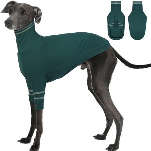 OUOBOB Greyhound Hundepullover, Italienischer Windhund Mantel für mittlere Hunde, Whippet Pullover Rollkragenpullover Stretchy Knit Sweatshirt, Greyhound Pyjamas Windhunde Jumpsuit für kaltes Wetter M von OUOBOB