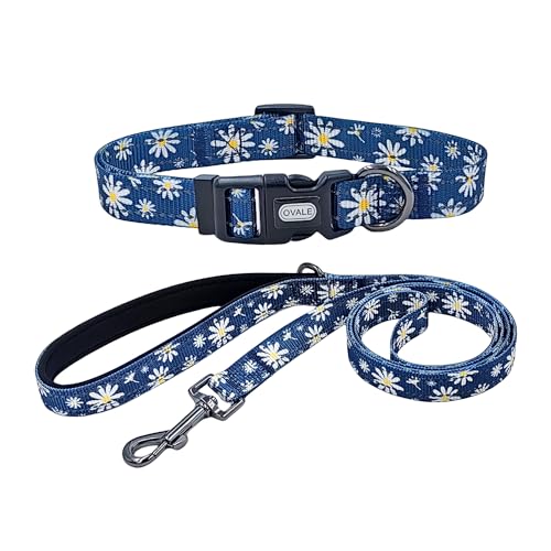 Ovale Hundehalsband-Leinen-Kombi-Set, verstellbares Halsband und 1,5 m passende Leine, für kleine Welpen, Größe XS, reflektierendes Blau von OVALE