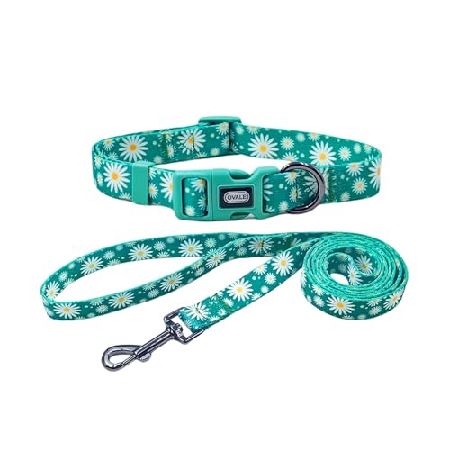 Ovale Hundehalsband-Leinen-Kombi-Set, verstellbares Halsband und 1,5 m passende Leine, für große Hunde (L, grünes Gänseblümchen) von OVALE