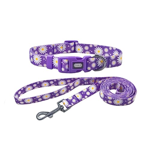 Ovale Hundehalsband-Leinen-Kombi-Set, verstellbares Halsband und 1,5 m passende Leine, für große Hunde (L, lila Gänseblümchen) von OVALE