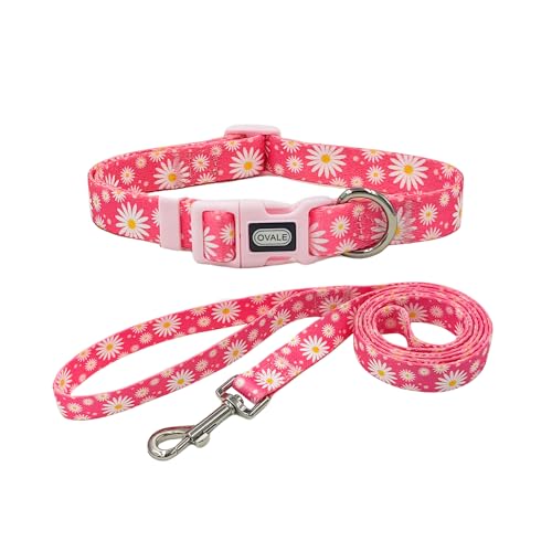 Ovale Hundehalsband-Leinen-Kombi-Set, verstellbares Halsband und 1,5 m passende Leine, für große Hunde (L, rosa Gänseblümchen) von OVALE