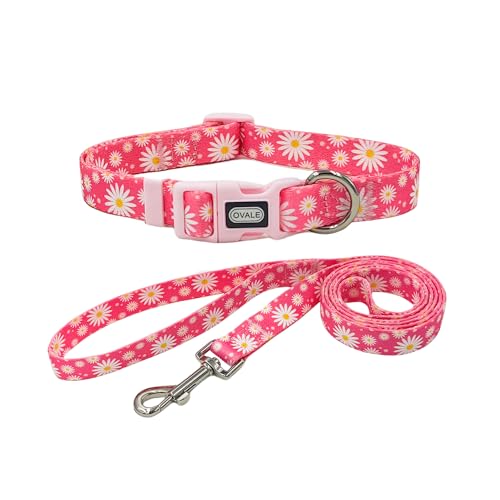 Ovale Hundehalsband-Leinen-Kombi-Set, verstellbares Halsband und 1,5 m passende Leine, für kleine Welpen, Größe XS, Rosa Gänseblümchen) von OVALE