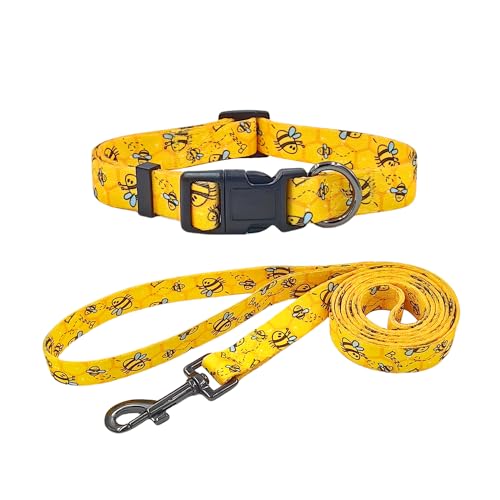 Ovale Hundehalsband-Leinen-Kombinationsset, Halsband und 152 cm passende Leine, für kleine Welpen, Größe XS, goldfarben von OVALE