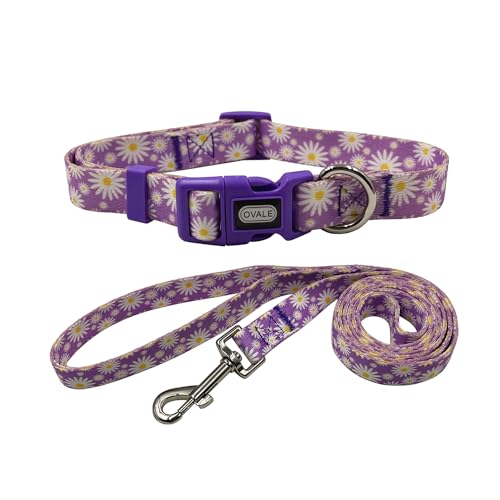 Ovale Hundehalsband-Leinen-Kombi-Set, verstellbares Halsband und passende 1,52 m lange Leine, für mittelgroße Hunde (Größe M, Hellviolettes Gänseblümchen) von OVALE