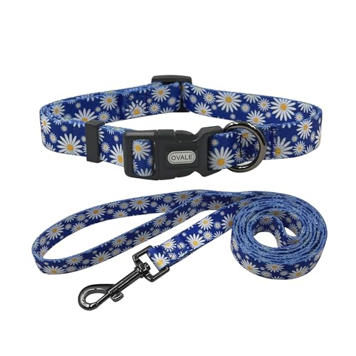 Ovale Hundehalsband-Leinen-Kombi-Set, verstellbares Halsband und passende 1,52 m lange Leine, für mittelgroße Hunde (Größe M, Blaues Gänseblümchen) von OVALE