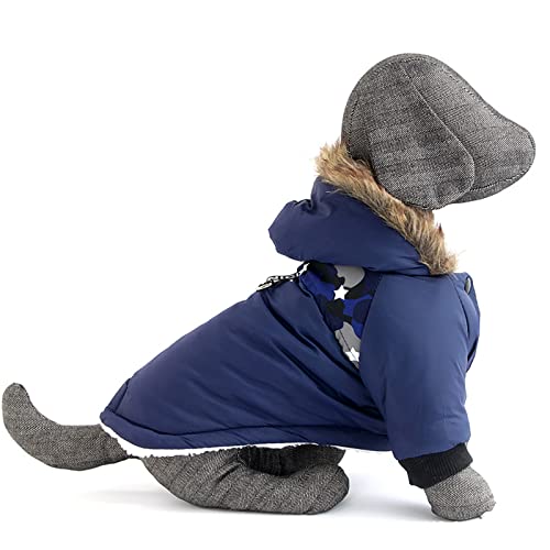 Frienperro Hunde-Kapuzenpullover aus Baumwolle, für kleine Hunde, Mädchen, Jungen, Chihuahua-Kleidung, Haustier, Katze, Winter, warm, Sweatshirt, Pullover 【XXL-Blau】 von OYUEGE