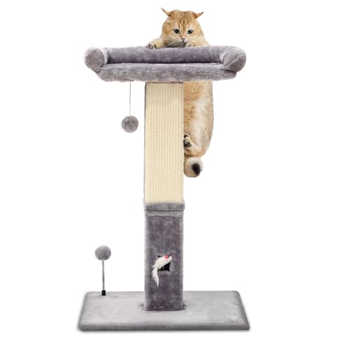 OYX Katzenkratzbaum 81.3 cm, Groß Kratzbaum mit Bett, Abnehmbares Katzenbett mit Hängender Ball Katzenkratzbaum, Sisal Kratzbaum Hoch Katzenkratzbrett für Alle Arten von Katzen, Grau von OYX