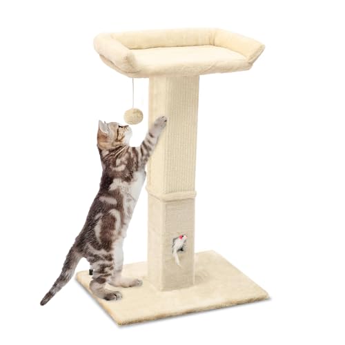 OYX Kratzbaum für Indoor-Katzen und Kätzchen, 81,3 cm, großer Kratzbaum mit Bett und abnehmbar, mit hängendem Ball, Katzenkratzbäume, Sisal, hoch, Katzenkratzbrett für alle Arten von Katzen, Beige von OYX