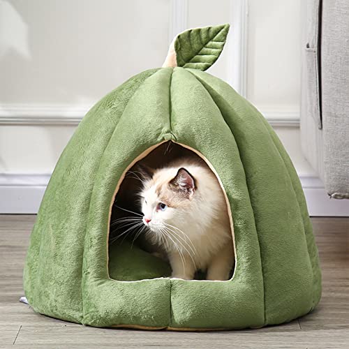 OYhmc Katzenbett für Indoor-Katzen, maschinenwaschbares Katzenbett für Indoor-Katzen oder Welpen, Welpen, Kätzchen, Kaninchen, Rutschfester und wasserdichter Boden von OYhmc