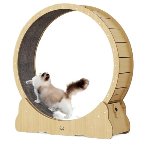 OZWYCY Katzenlaufrad Katzenlaufband, leiser Roller, Katze, Massivholz, Sportlaufrad, Haustier-Fitness, Katzenklettergerüst, Katze Katzenlaufrad für den Lnnenbereich(S) von OZWYCY