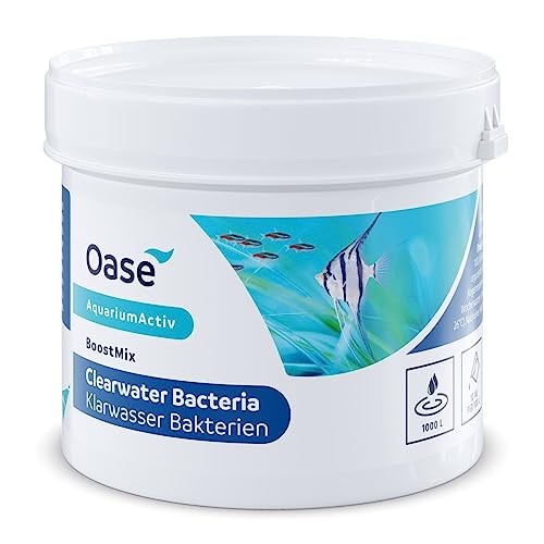 BoostMix Klarwasser Bakterien 100 g von Oase