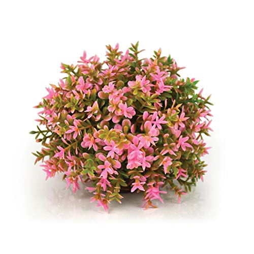 biOrb 46088 Blumenball pink - künstliche Wasserpflanze mit hohem Detailgrad zur schönen Aquariendekoration aus hochwertigem Kunststoff | für Süßwasser und Meerwasser geeignet von biOrb