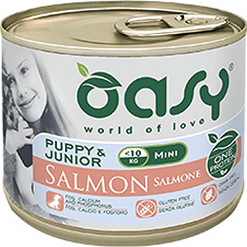 Oasy Hund Monoprotein Puppy&Junior Mini mit Lachs 200 g von Oasy