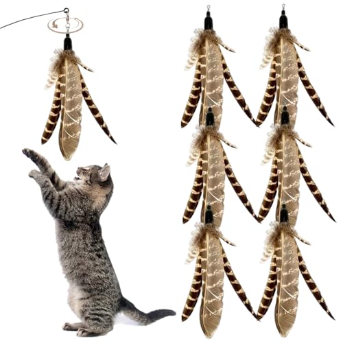 6pcs Katzenfedern Spielzeug, natürliche Vogelfedern Katzenstab Aufnutzungen, interaktive Katzenspielzeugfedern Ersatz für Katzen Kätzchen Kratztübung Innenräume, Katzenstabbeschwerden, Katzenfedern S von Obelunrp