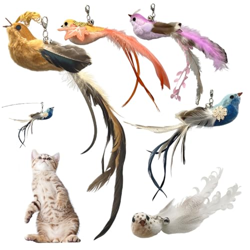 Katzenfedern Spielzeug nachfüllen 5pcs Brid Form Katzenstab Spielzeug Nachfüllung Süßes fliegende Vogelkatze Spielzeugbefindungen mit glocken interaktiven Katzenspielzeug für Innenkatzen spielen und von Obelunrp